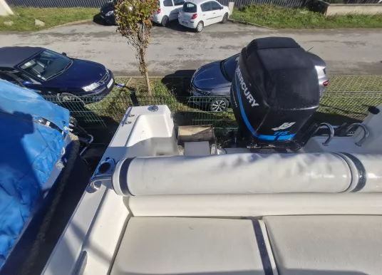 KELT - WHITE SHARK 206 - 11