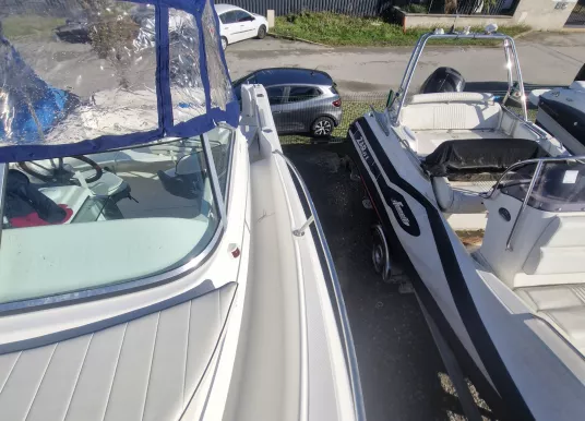 KELT - WHITE SHARK 206 - 20