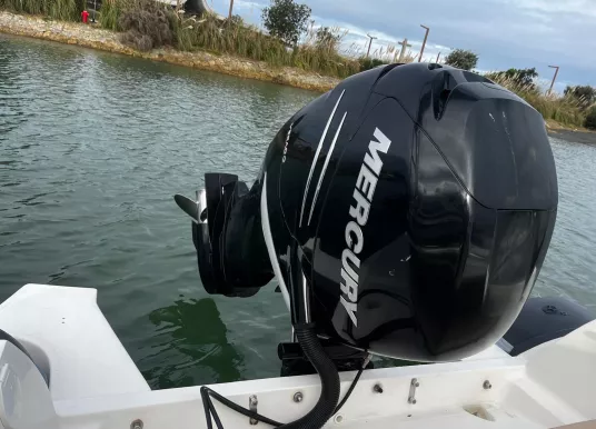 NUOVA JOLLY - BLACK FIN 8 - 12