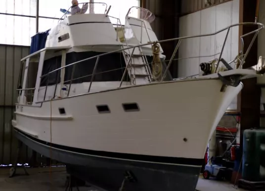 NAUTICA - NAUTICA 36 - 3
