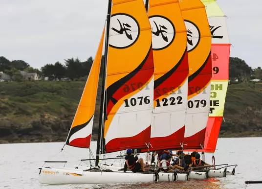 HOBIE CAT - TEDDY - 2