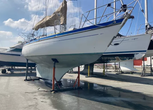 BERNARD - CHASSIRON - 3