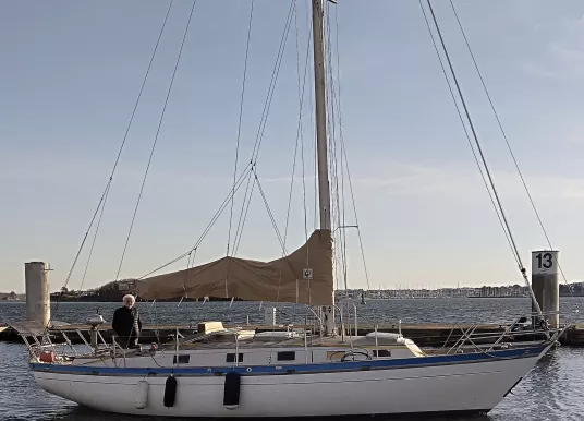 BERNARD - CHASSIRON - 4