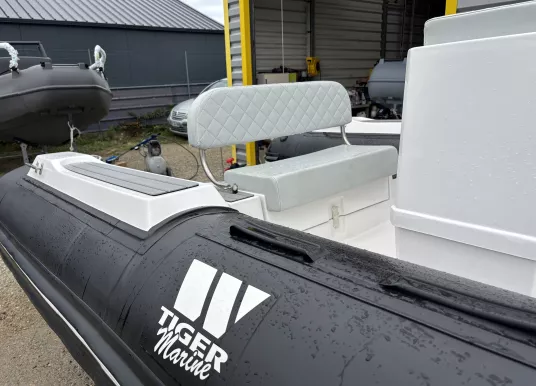 TIGER MARINE - TIGER MARINE 600 OPEN - 4
