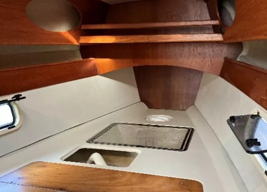 QUORNING BOATS - DRAGONFLY 920 R - 6