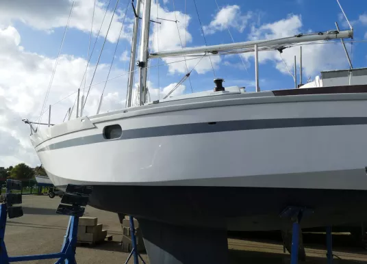 AUBIN - COGNAC - 7