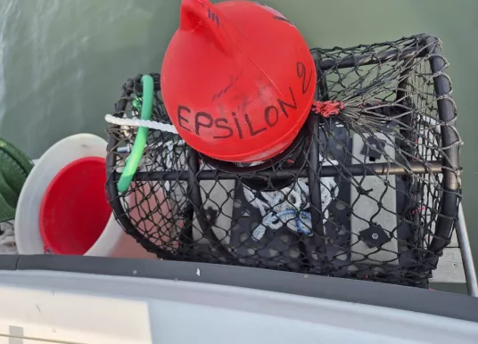 BENETEAU - ANTARES 620 - 14