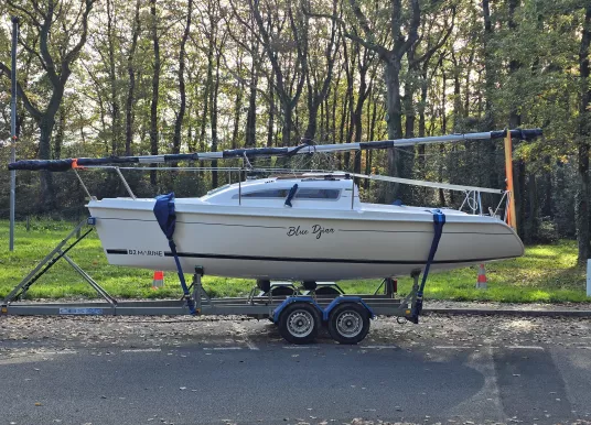 B2 MARINE - BLUE DJINN - 10