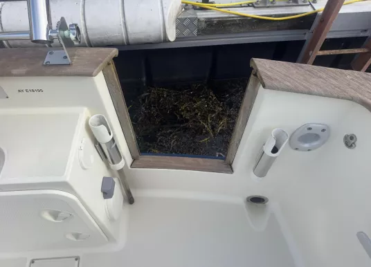 RHEA MARINE - RHEA 750 TIMONIER - 47