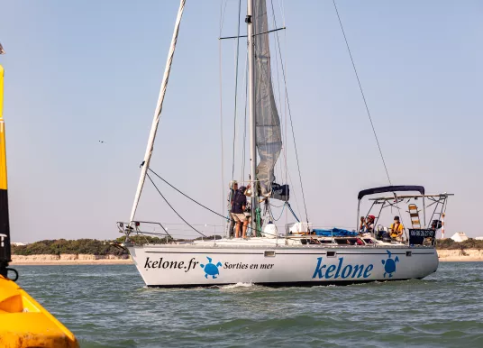 JEANNEAU - SUN KISS 45 - 4