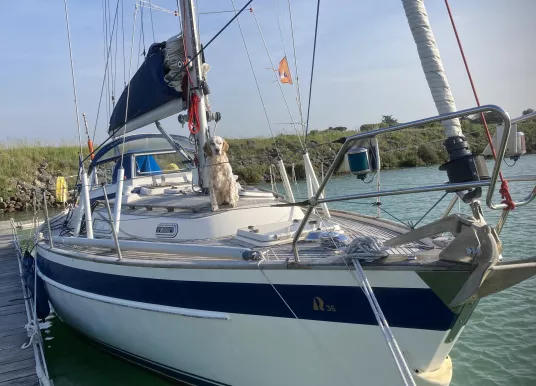 HALLBERG-RASSY - HALLBERG RASSY 36 MK II