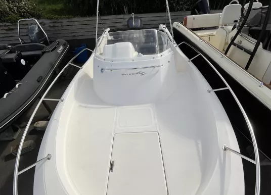 WHITE SHARK - WHITE SHARK 228 - 6