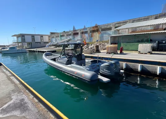 LOMAC - ADRENALINA - 2