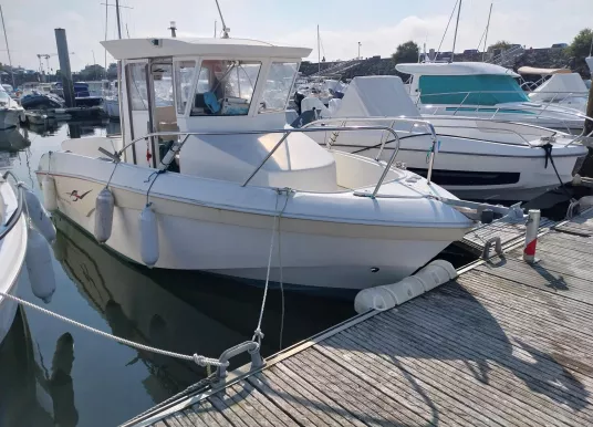 PROMARINE - BELONE