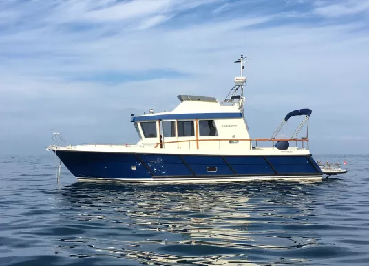 TARGA - TARGA 35