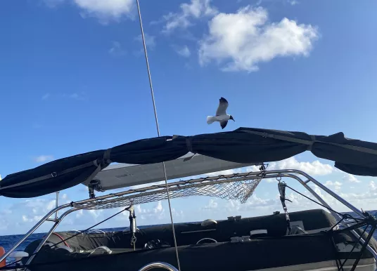 JEANNEAU - SUN KISS 45 - 14