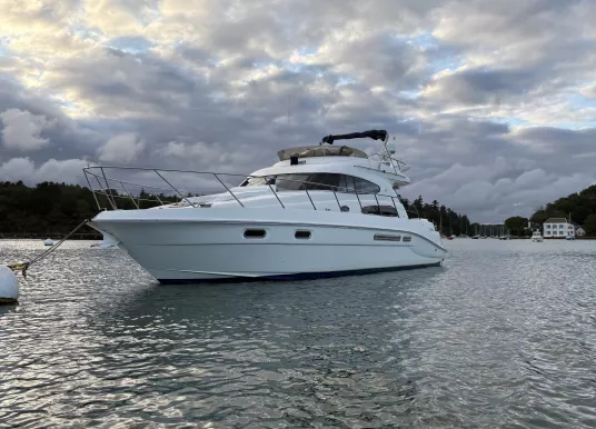 SEALINE - SEALINE T 47