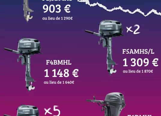 CAPELLI - TEMPEST 650 - 2