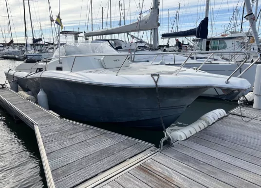 KELT - WHITE SHARK 298