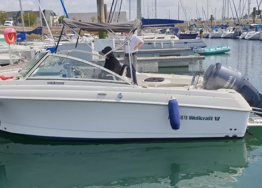 WELLCRAFT - WELLCRAFT 220 SPORTSMAN