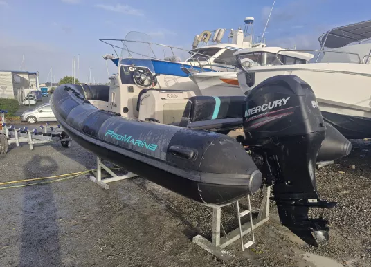 PRO MARINE - MANTA 550 - 2