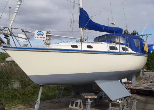 WESTERLY - FULMAR - 20