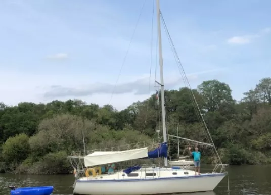 WESTERLY - FULMAR - 21