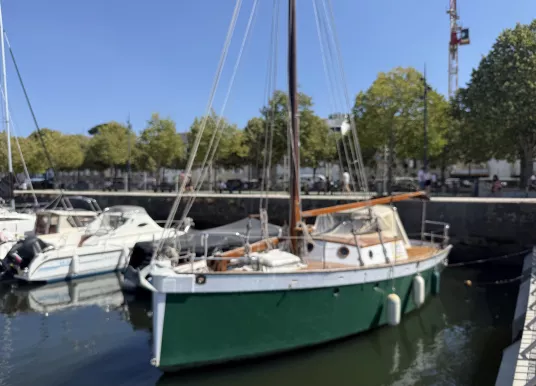 AMATEUR - EIDER 5 - 6
