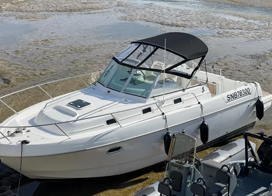 BENETEAU - OMBRINE 800