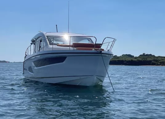 SEALINE - SEALINE C390 - 15