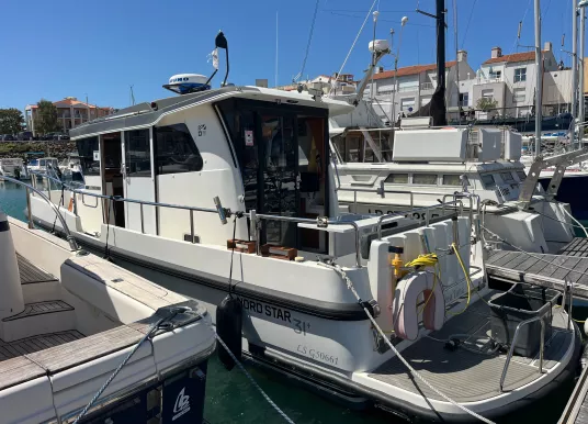 NORD STAR - NORD STAR 31+ - 3