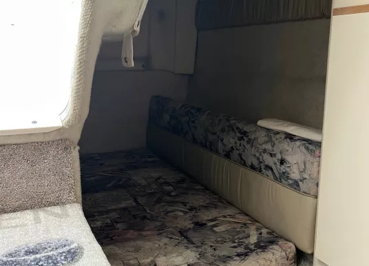 BAYLINER - Bayliner 2355 - 10