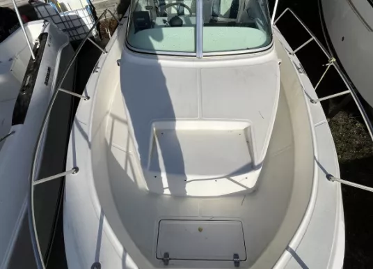 WHITE SHARK - WHITE SHARK 237 - 3