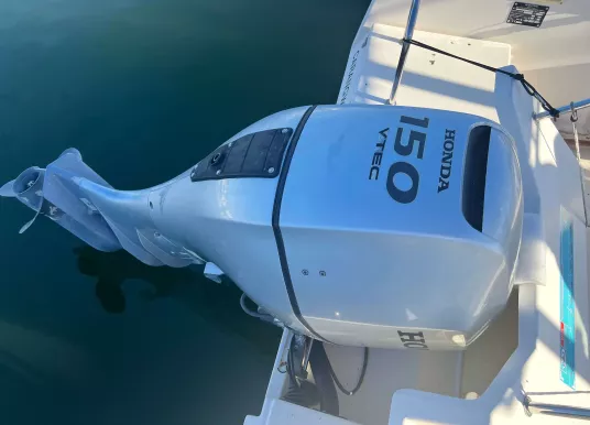 OCQUETEAU - OCQUETEAU 600 OSTREA T TOP - 6