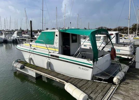 BENETEAU - ANTARES 8.00