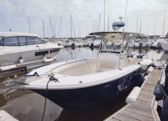 SCOUT BOAT - SCOUT 262 SPORTFISH