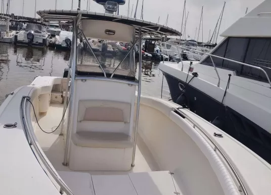 SCOUT BOAT - SCOUT 262 SPORTFISH - 12