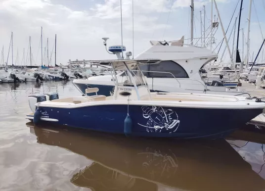 SCOUT BOAT - SCOUT 262 SPORTFISH - 14