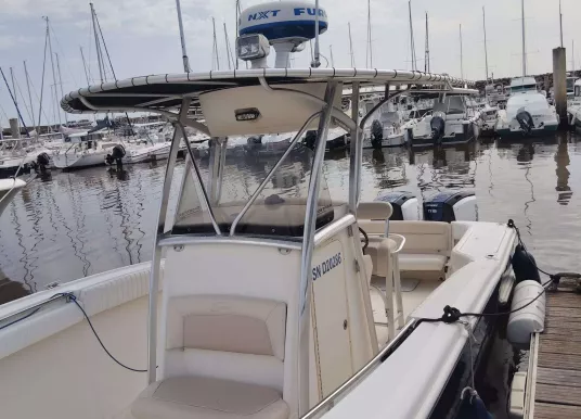 SCOUT BOAT - SCOUT 262 SPORTFISH - 22