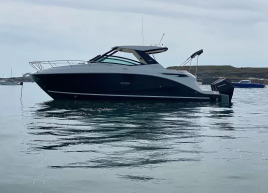 SEA RAY - SUNDANCER 320 OUTBOARD