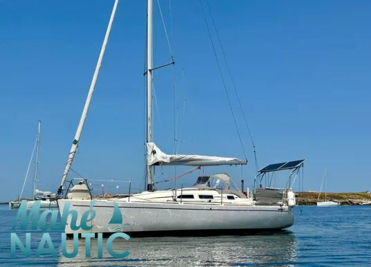 ELAN - 31