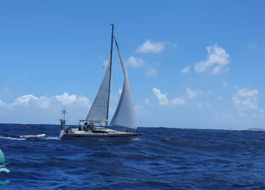 RM YACHTS - RANDONNEUR 980 - 3