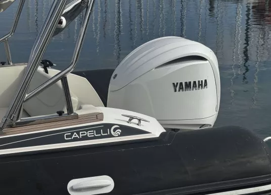 CAPELLI - TEMPEST 775 - 5
