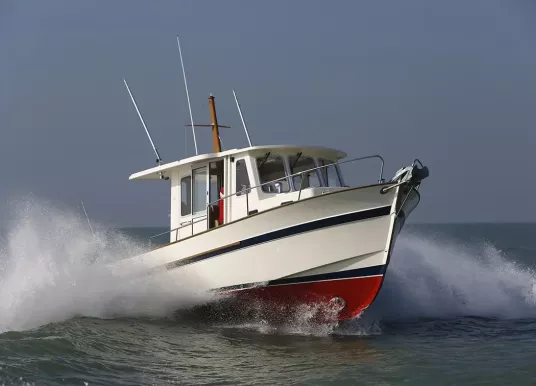 RHEA MARINE - RHEA 800 TIMONIER - 9