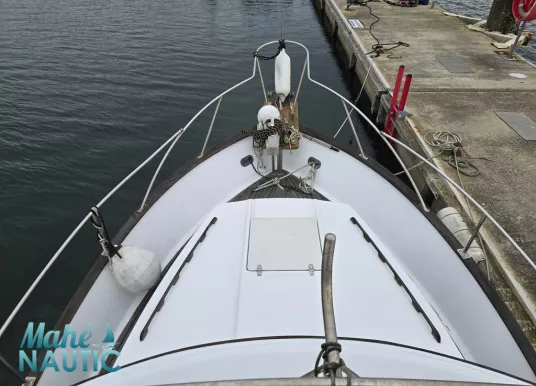 ISLAND GYPSY - ISLAND GYPSY 32 - 18