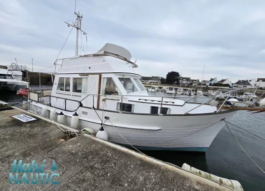 ISLAND GYPSY - ISLAND GYPSY 32 - 19