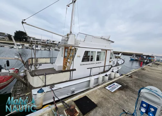 ISLAND GYPSY - ISLAND GYPSY 32 - 20