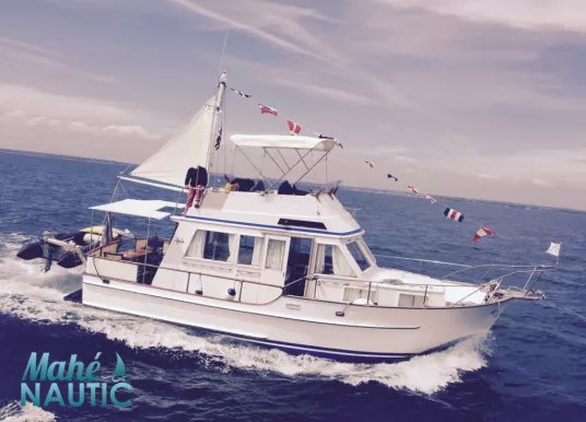 ISLAND GYPSY - ISLAND GYPSY 32 - 24