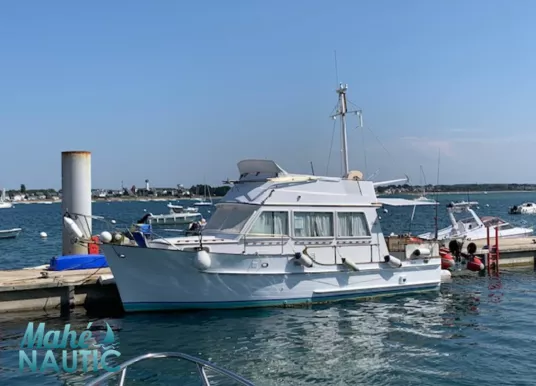 ISLAND GYPSY - ISLAND GYPSY 32 - 27