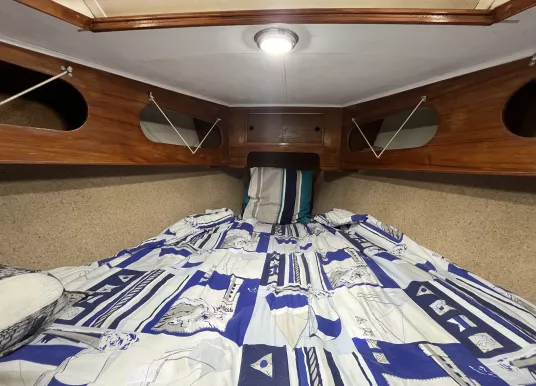 FREEDOM YACHTS - FREEDOM 35 - 13